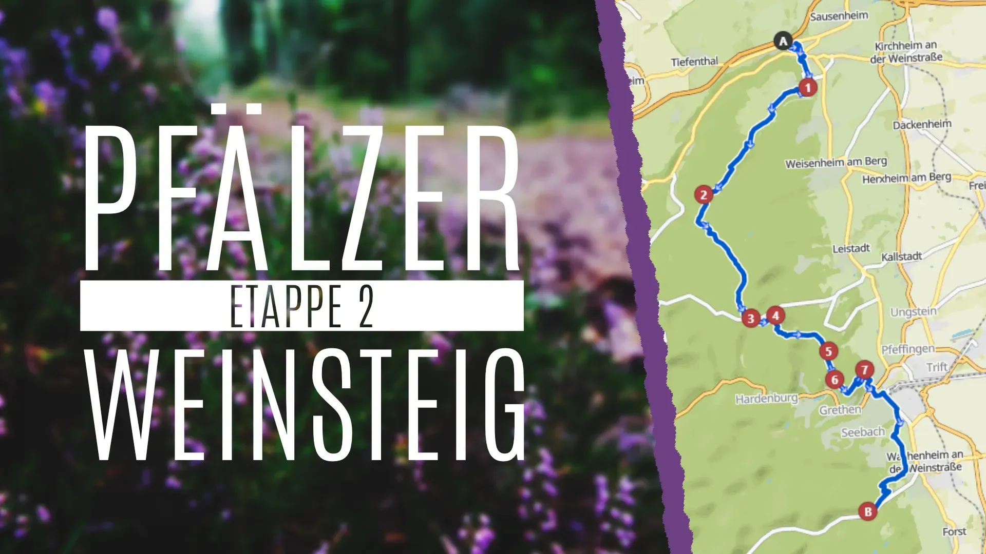 Pfälzer Weinsteig Etappe 2 & ein unerwarteter Ausgang